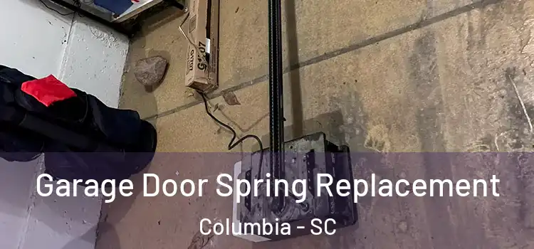  Garage Door Spring Replacement Columbia - SC